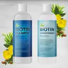 Shampoo Shampoo No Sulfates Private Label Natural No Sulfates Protein Aloe Vera Argan Oil Hair Shampoo