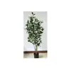 /product-detail/new-artificial-plants-decoration-potted-trees-wholesale-bonsai-laurel-tree-5ft-150cm-home-laurel-for-ornamental-trees-in-pots-62242397394.html