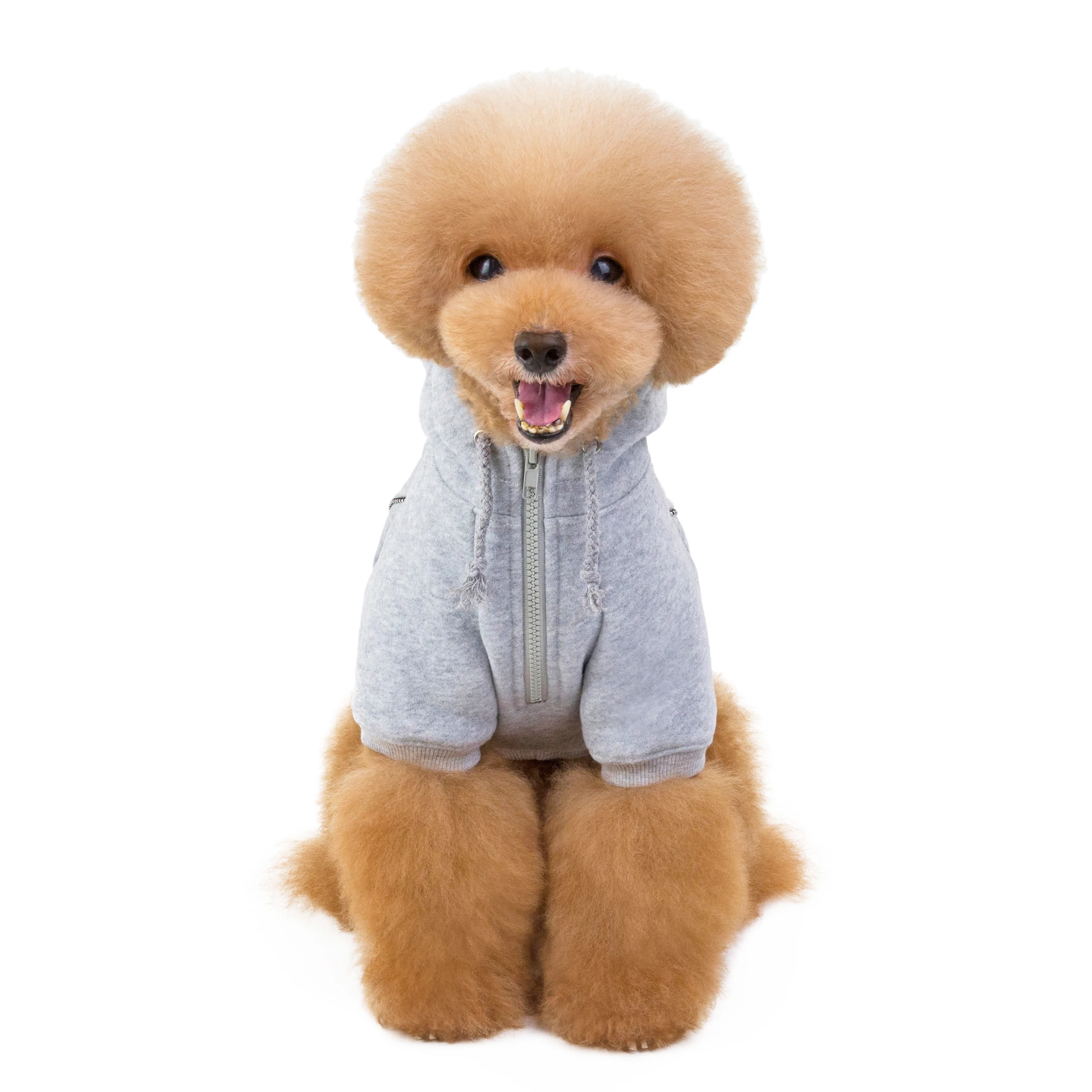 New Pet Winter Clothes Dog Hoodies Casual Sports Plain Pet Sweater Puppy Coats Best Selling Dog Clothes Factory Wholesale