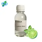 Mint concentrate Lemon Mint aroma flavor fragrance vape liquid essence