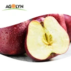 AGOLYN Chinese fresh red delicious fruit tianshui huaniu apple