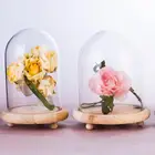 Glass Cover Glass Classical Glass Dome 15cm Dessert Dome Glass Stand With Wooden Base Mouth-blown Glass Food Cover FDA