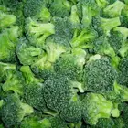 Iqf Frozen Frozeniqf HACCP Certificate High Quality IQF Frozen Broccoli