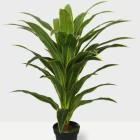 Artificial Brazil iron Artificial Tree Artificial Plants for decor garden hotel home