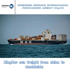KingHor logistics ShenZhen branch provide freight forwarder sea