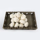 China Fresh Pure White Garlic 2020 new crop