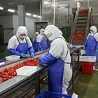Bulk Fresh Frozen Strawberry Dices