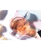 /product-detail/2019-latest-style-small-fresh-charm-ladies-fragrance-perfume-62174935453.html