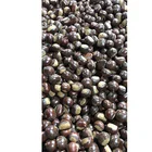 High quality standard grains natural sweet soft skin shandong chestnut