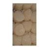 /product-detail/good-sale-japan-nature-live-scallops-meat-from-beach-62385652971.html