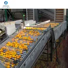 Fruit Sorting Machine Citrus Processing Line/lemon/orange Fruit Washing Sorting Machine