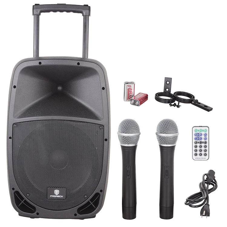 Portable 12Inch Woofer 500 Watt 2 Way USB SD Card Reader Dj PA Bluetooth Speaker - ANKUX.COM