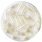 GMP Factory 100% Veg Veggie Vegan Vegetarian HPMC Empty Vegetable Capsule Shells