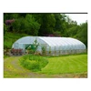 /product-detail/single-span-poly-house-agriculture-greenhouse-60854172021.html
