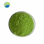 Natural Plant Powder Moringa Leaf Extract