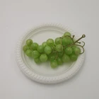 clear lid plastic combination devided dessert plate