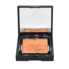Pigment Glitter Eyeshadow Pressed Single Eye+Shadow