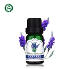 Fragrance Aroma lavender oil for diffuser