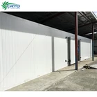 frozen blue whiting fish cow meat frozen cold storage to cooler walk in freezer and chiller vegetables in cold storage