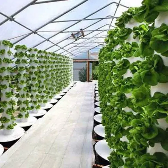 水培温室室内植物垂直塔式种植系统列水培aeroponic种植制度