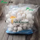 Organic Fresh White Shimeji Swamm Agaric Mushroom