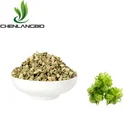Tribulus Terrestris Fruit Extract Powder 40%