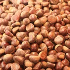 Easy to peel soft skin natural sweet big size frozen yunnan 3113 chestnut