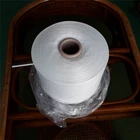 High-end 100D/24F/2 Twisted Stretchy DTY Nylon 66 Yarn for Sewing Overlock