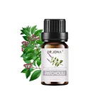 Private Label Manufacturer Supply 100% Pure Natural High Quality Patchouli Essential Oil Wholesale
