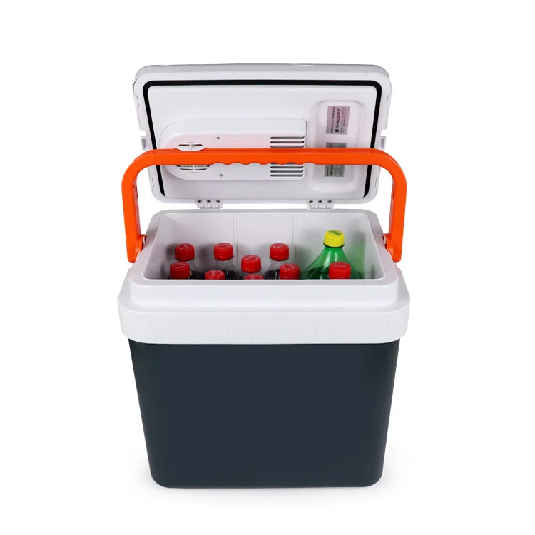 electric food cooler box