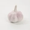 /product-detail/wholesale-price-china-fresh-white-garlic-62235388886.html
