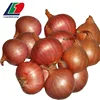 The Newset Crop Fresh Red Shallot Onion, Red Shallot For Maldives