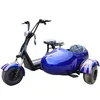 /product-detail/hot-sale-cool-sport-electric-motorcycle-3-wheel-moped-car-electric-power-assisted-cycle-62396535136.html