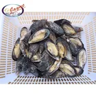 Factory promotional price cheap high quality iqf half shell blue mussel