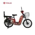 TAILG durable heavy loading cargo electric bike from china