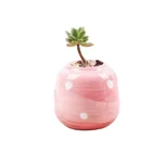 Custom hand painting porcelain succulent planter small desktop ceramic cactus flower pot