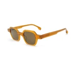 Brown Acetate Polycarbonate Spring Hinge Summer Sun Glasses For Mens