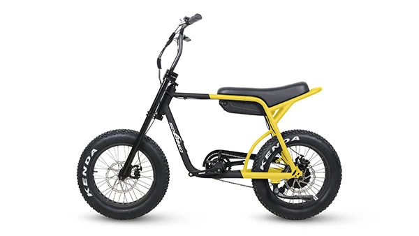 promax electric bike