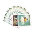 advertising 57*87 hot sale items both side printing red black card game high quality pokers playing cards