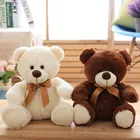 Wholesale Free Sample Plush Bear Teddy Bear With Mini Soft Teddy Bear
