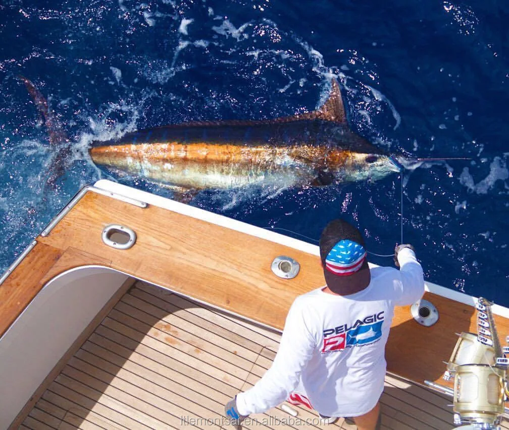  "Essential Insights into St Pete Marine Forecast: Your Ultimate Guide to Safe Boating and Fishing Adventures"