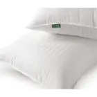 100% Breathable Cotton Cover Skin-Friendly, Standard Size, White (Queen) Bed Pillows
