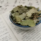 Dried High Quality Best Price Anti Aging Dried Leaf Epimedium