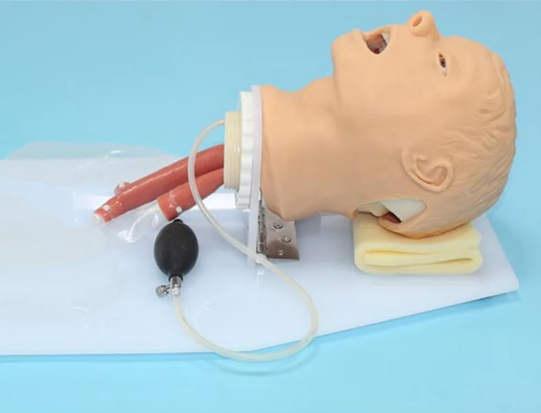 Medical Intubation Model Nurse Training Dummy Medical Trachea