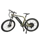 New arrival e-bicycle 48V bicicleta electrica 1000w electric bicycle mountain bike