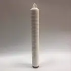 Membrane Filter PES Membrane Pleated Filter Cartridge For Injection Production