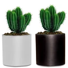 New Arrival Flower Pots Garden Pot Set, Animal Cartoon Ceramic Hanging Flower Pot$