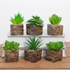 Factory Direct Artificial Bonsai Succulent Plants Unlimited Potted Tropical Flowers For Home