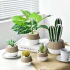 Cactus Simple Pastoral Home Decoration Cactus Green Wholesale Artificial Plant