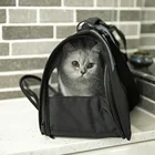 New Custom Weekend Pet Travel Storage Bag Dog Pet Food Carrier Bag in large stock from baish tech